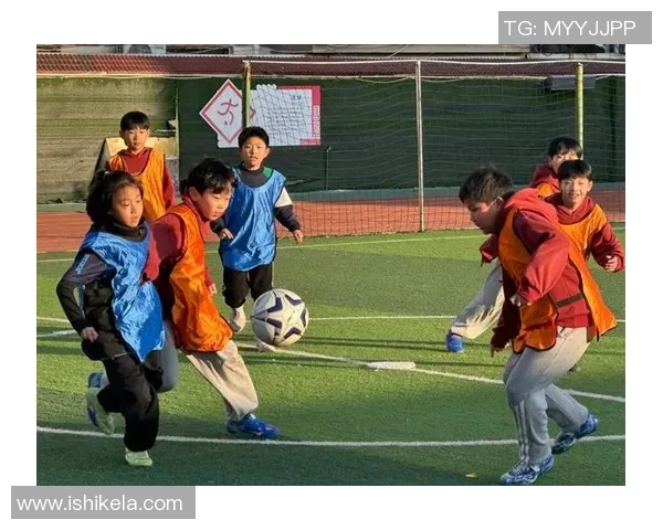 在绿茵场上追逐梦想与友情体验踢足球的快乐与激情