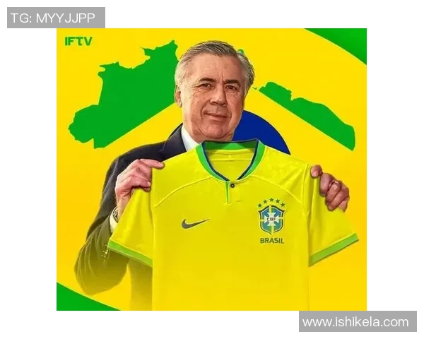 巴西足球员的辉煌历程与对世界足球的深远影响分析