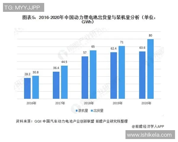 武汉网球队的控制策略与发展现状全解析 武汉网球队的控制策略与发展现状全解析
