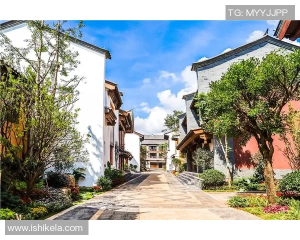 雨花足球小镇建设新进展引关注未来发展蓝图逐步清晰